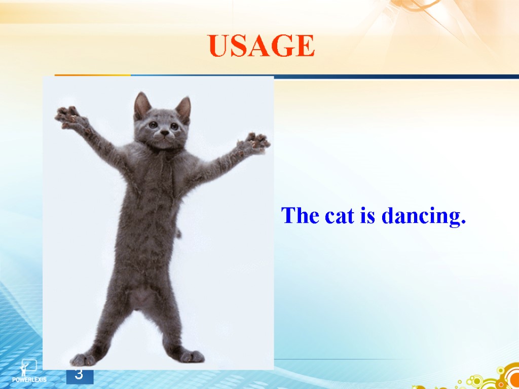 USAGE The cat is dancing. 3